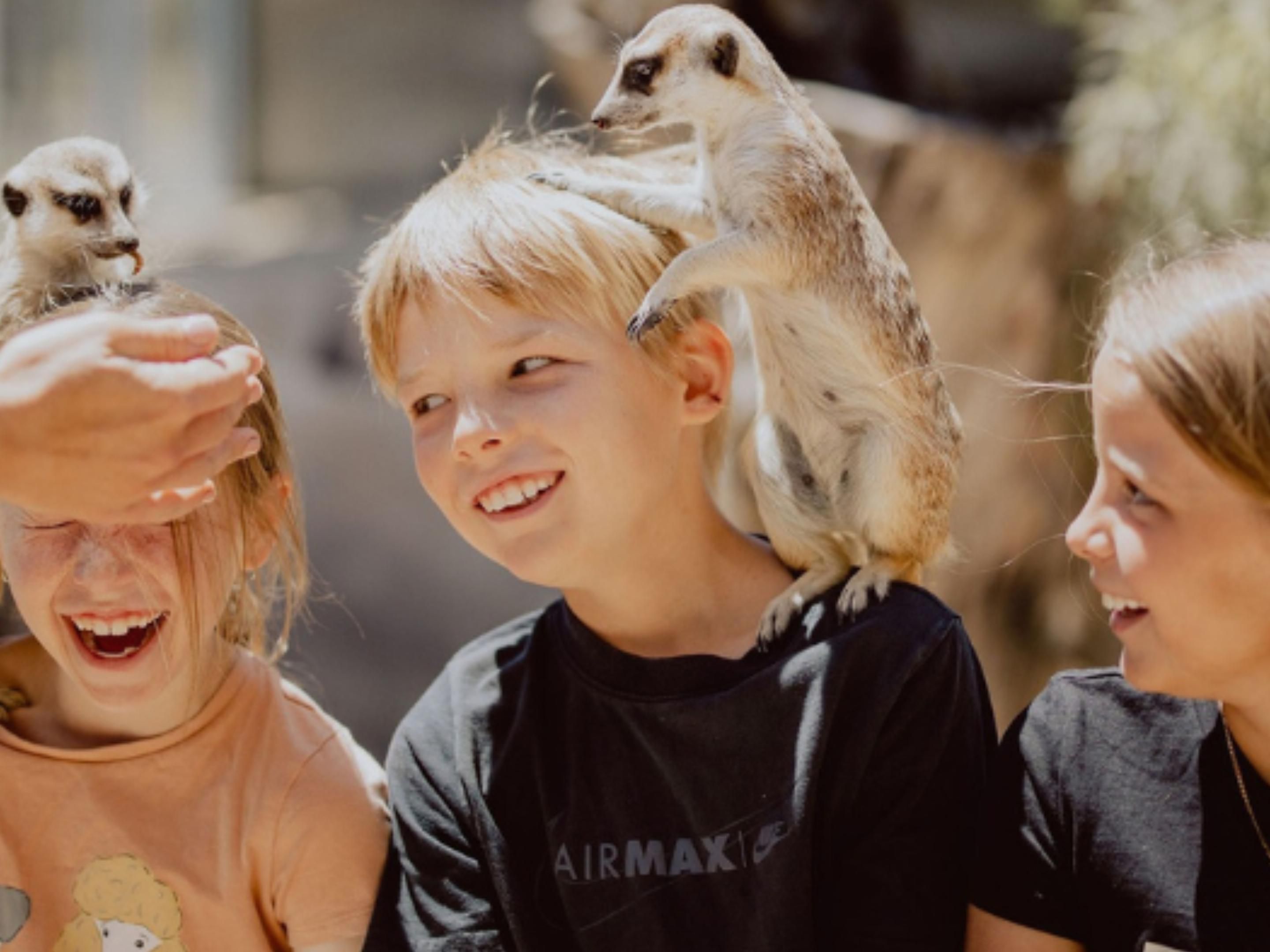 Indulge in a memorable getaway with overnight accommodation on our luxury boutique estate with daily breakfast, a complimentary bottle of our favourite Hunter Valley wine and tickets included to the iconic Hunter Valley Gardens for up to 2 adults and 2 children.