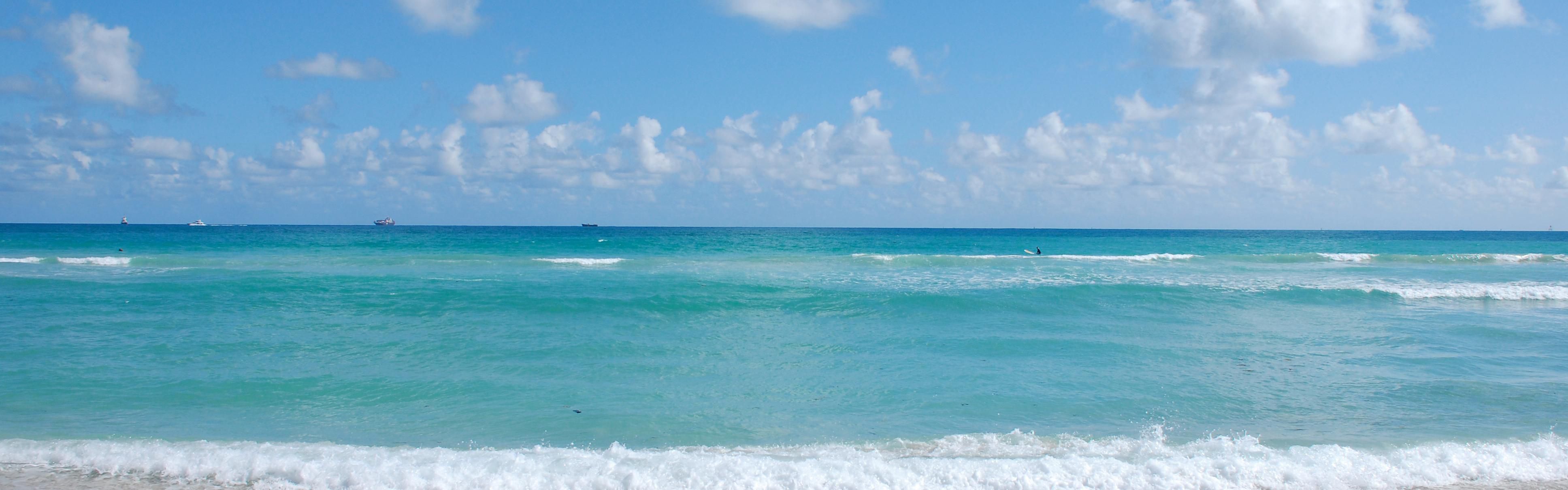 Tome el sol y la brisa marina en la cercana playa de Jensen