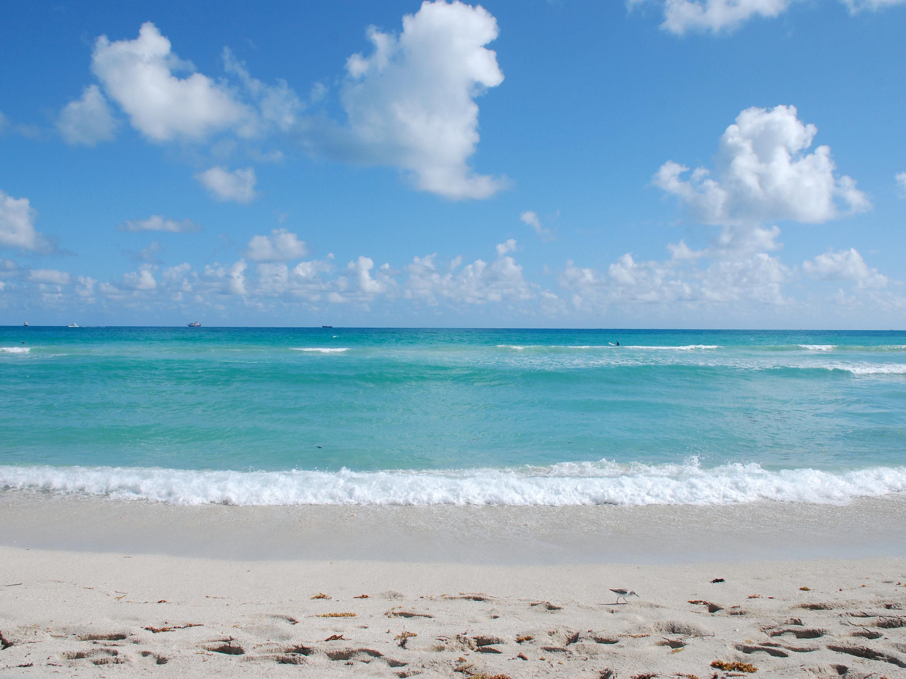 A solo minutos de distancia, Jensen Beach ofrece el encanto clásico de Florida con Sand blanca, olas tranquilas y paseos a caballo por la costa. Los jueves por la noche, la ciudad cobra vida con Jammin' Jensen: vendedores ambulantes, música en vivo y artistas locales que crean un ambiente animado y festivo.