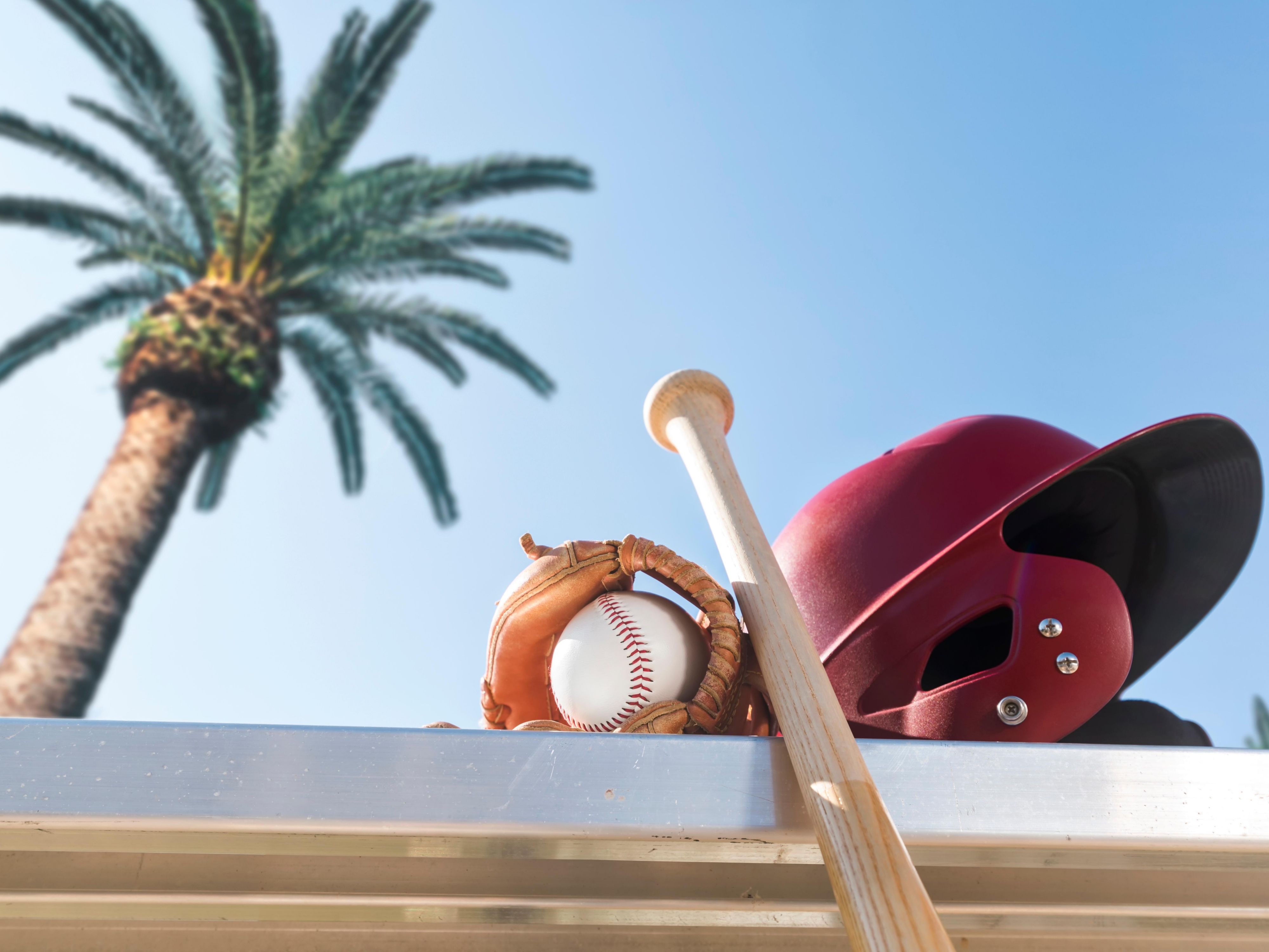 Catch the New York Mets in action at nearby Clover Park