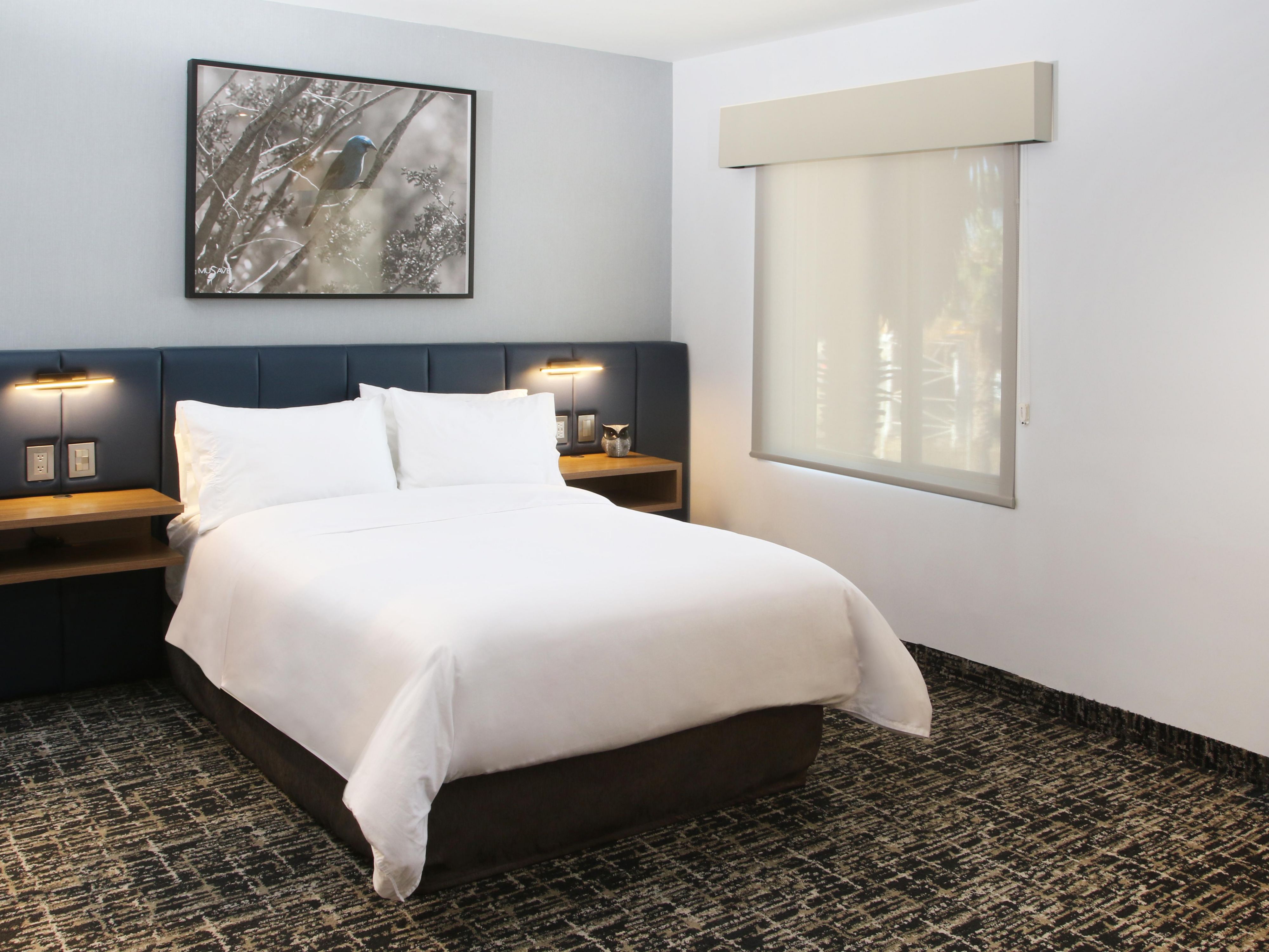 Our guest rooms are thoughtfully designed and innovative.
