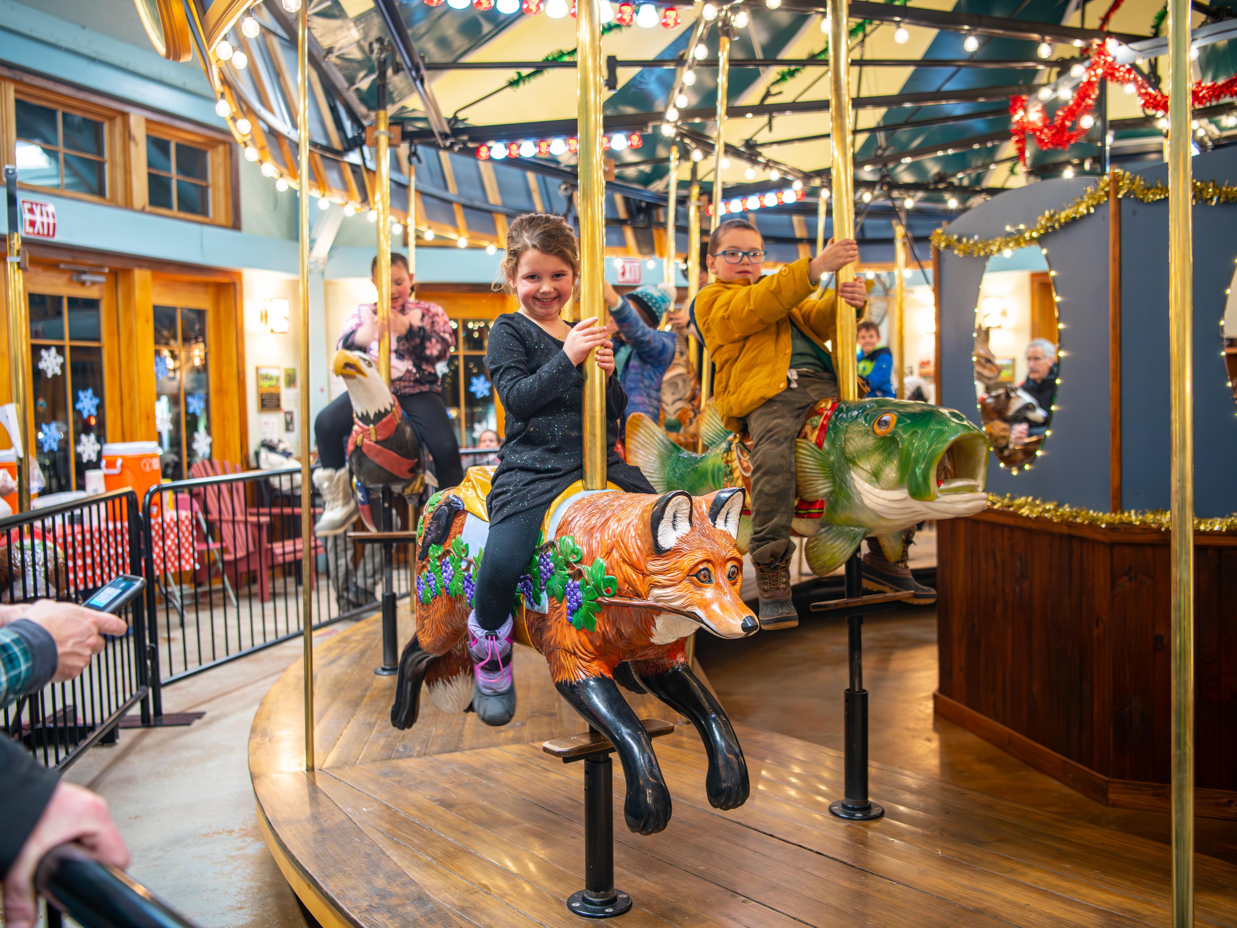 Adirondack Carousel