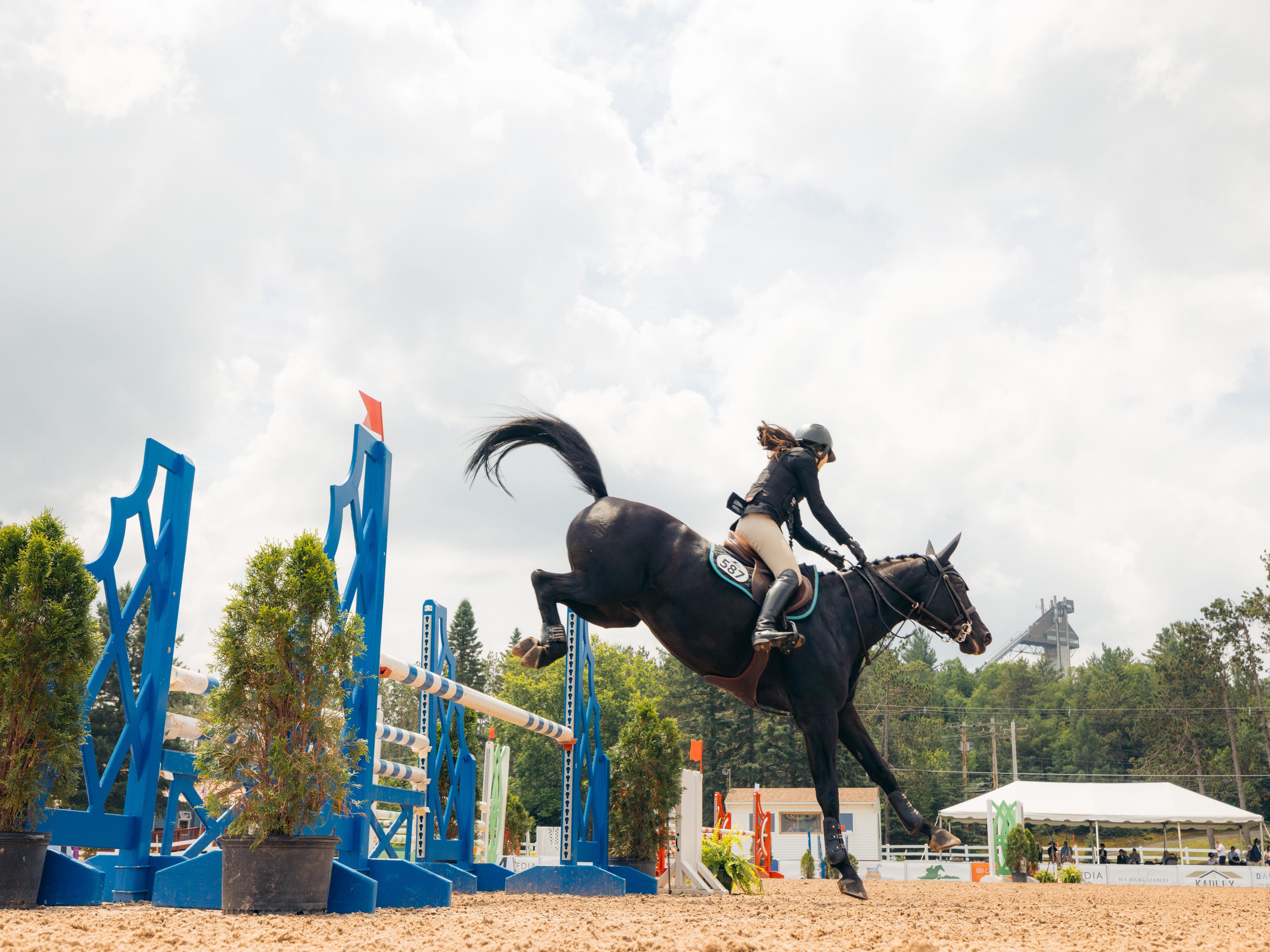 Horse jumping in a horse show