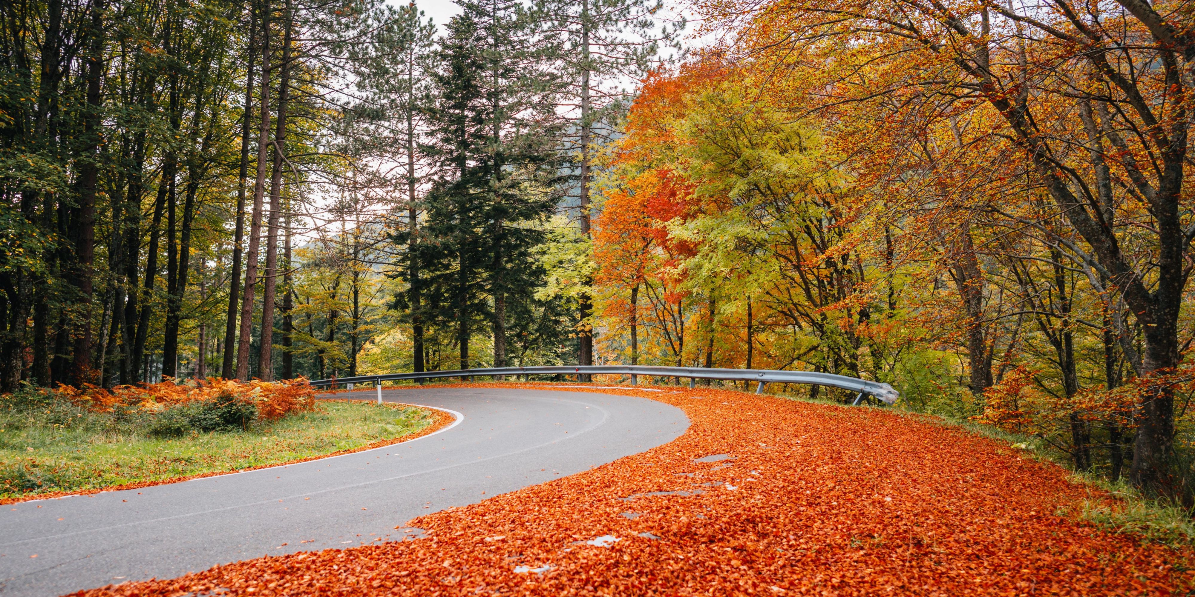 Hotel in Saranac Lake | voco Saranac Lake NY - Waterfront Hotel, an IHG