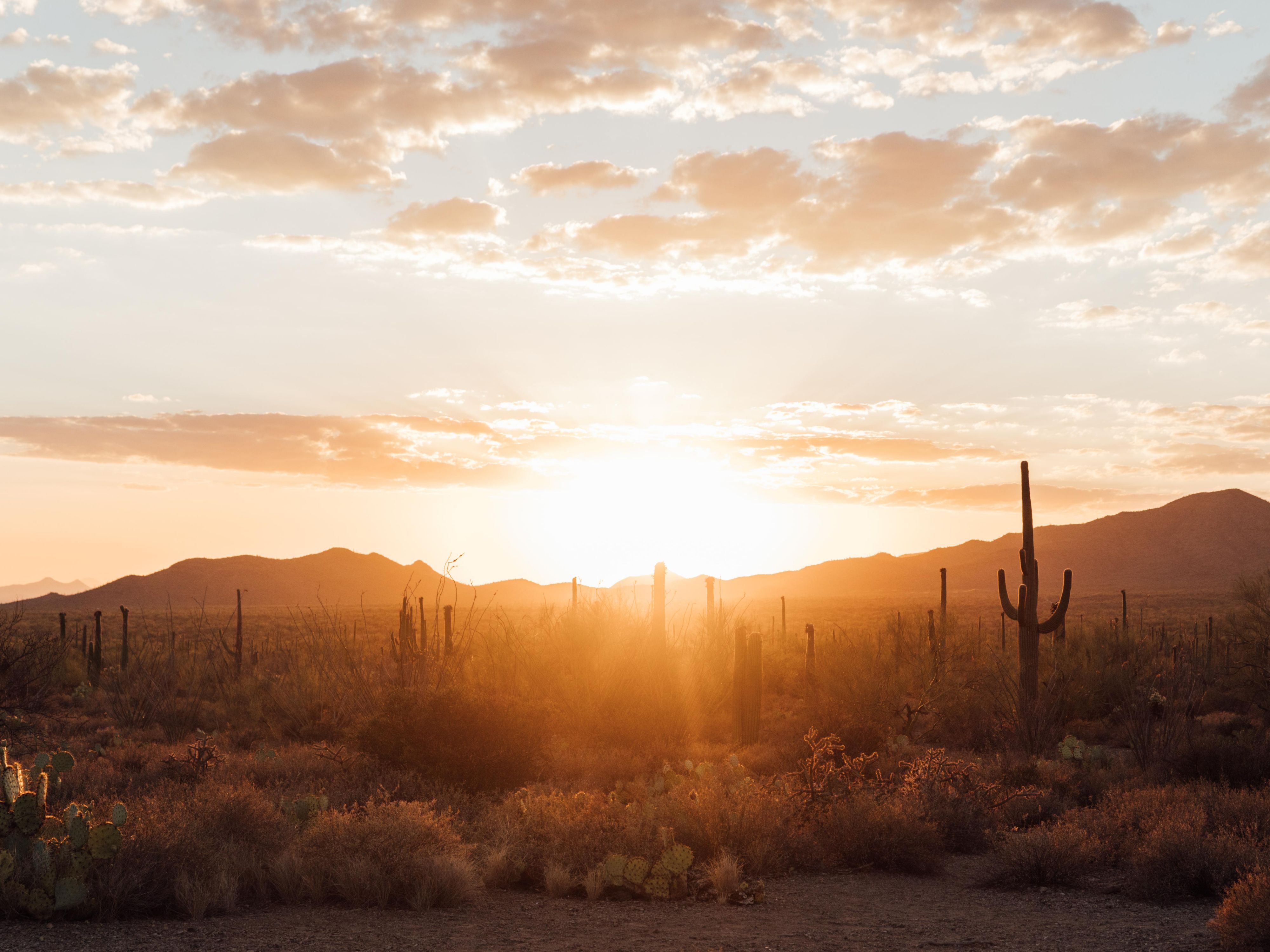 Campamento base para tu próxima aventura en Tucson. Ya sea que esté caminando en el Parque Nacional Saguaro, andando en bicicleta por el Chuck Huckelberry Loop o explorando Mission Garden y Tumamoc Hill, The Tuxon lo mantiene cerca de la naturaleza mientras se encuentra a poca distancia de mercados, tiendas y paradas de tranvía.