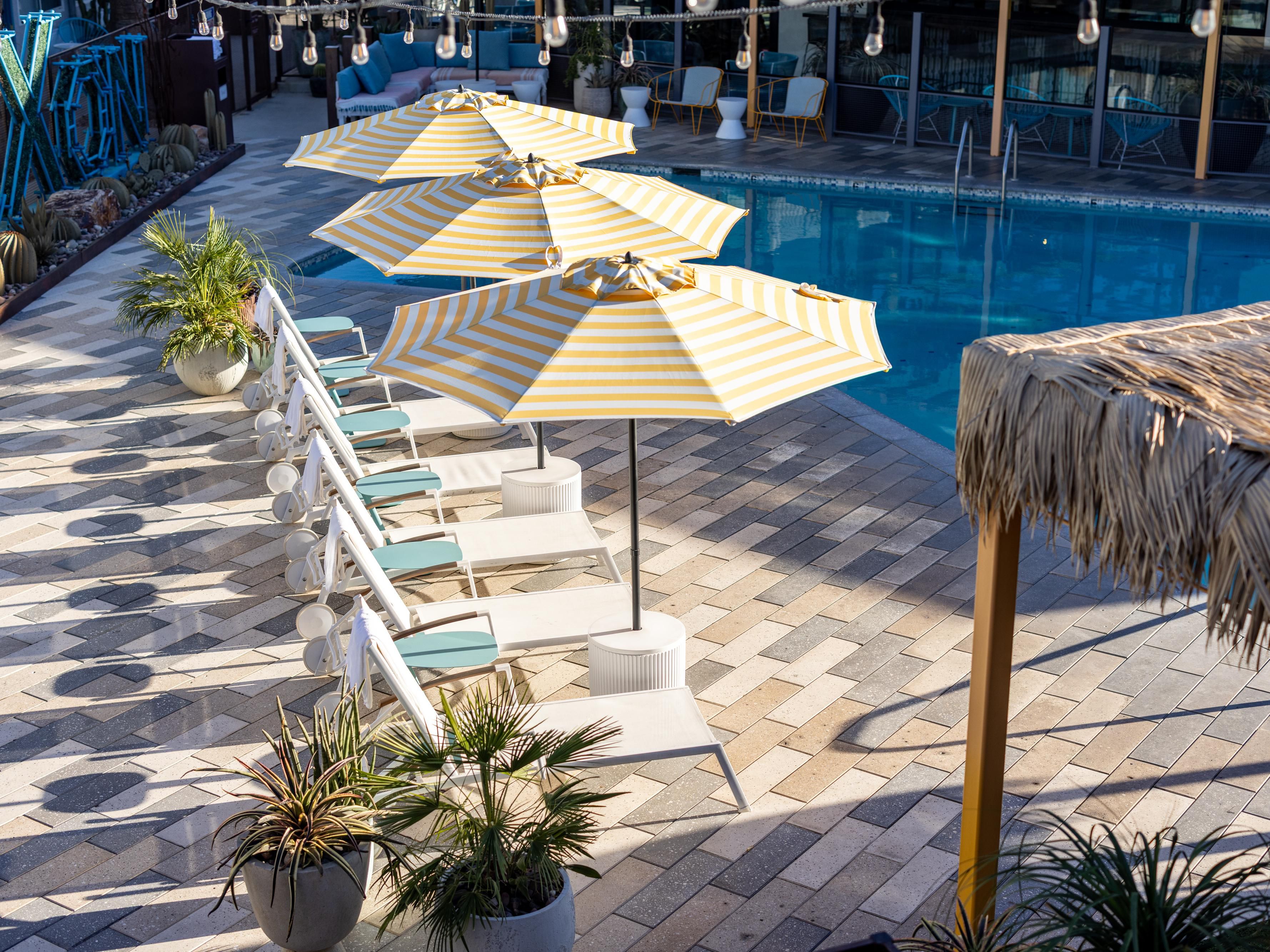Nuestra piscina en forma de bumerán es el lugar de reunión más fotogénico de Tucson. Relájese bajo sombrillas a rayas, beba granizados con chile del Shady Cactus Swim Club y únase al 5:30 Shady Toast diario. Los lugareños y los viajeros se mezclan con los sabores, los ritmos y la magia de la hora dorada de Baja California. No se requieren zapatos: buen ambiente garantizado.