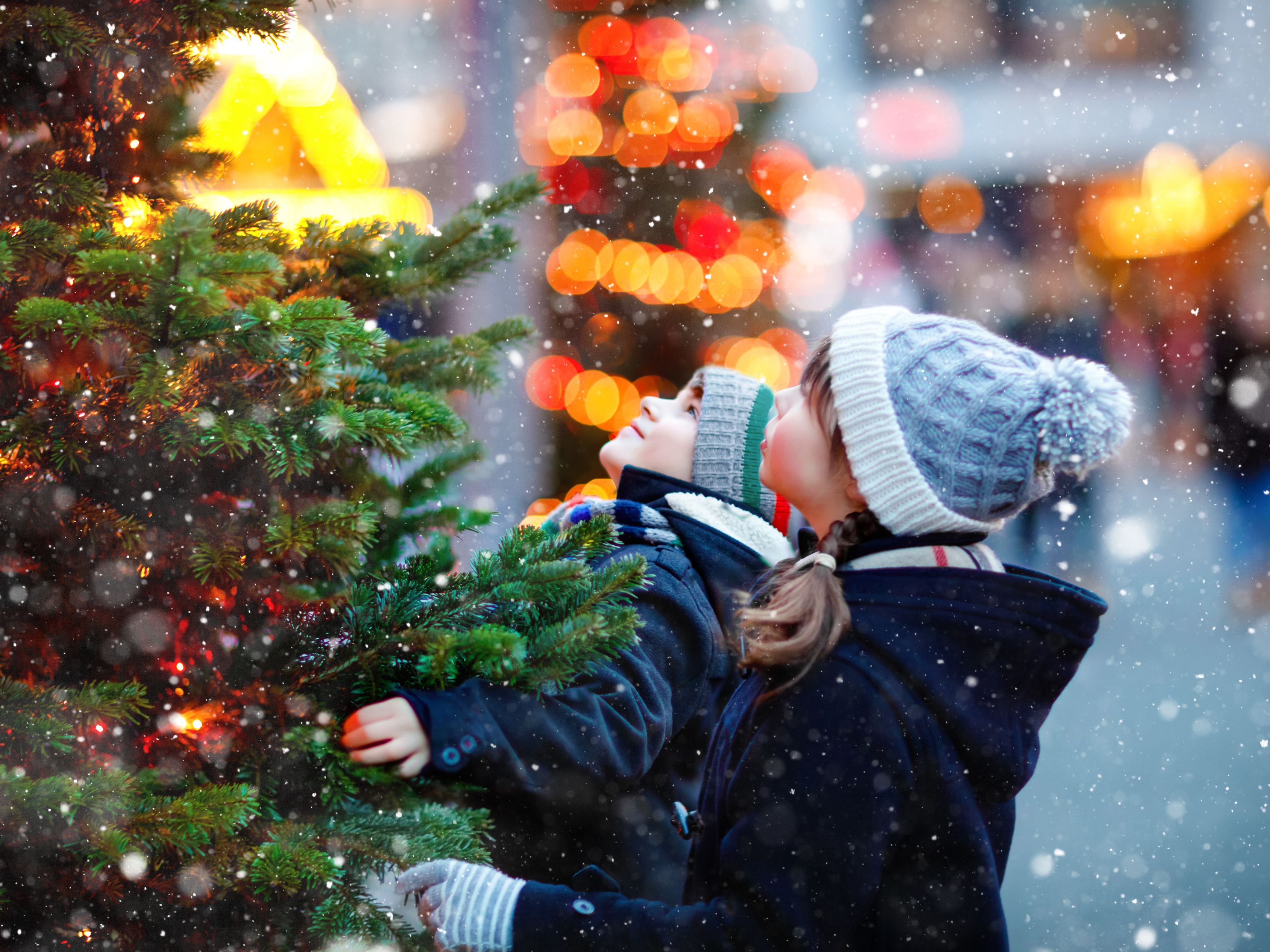 kids looking at a Christmas tree outside