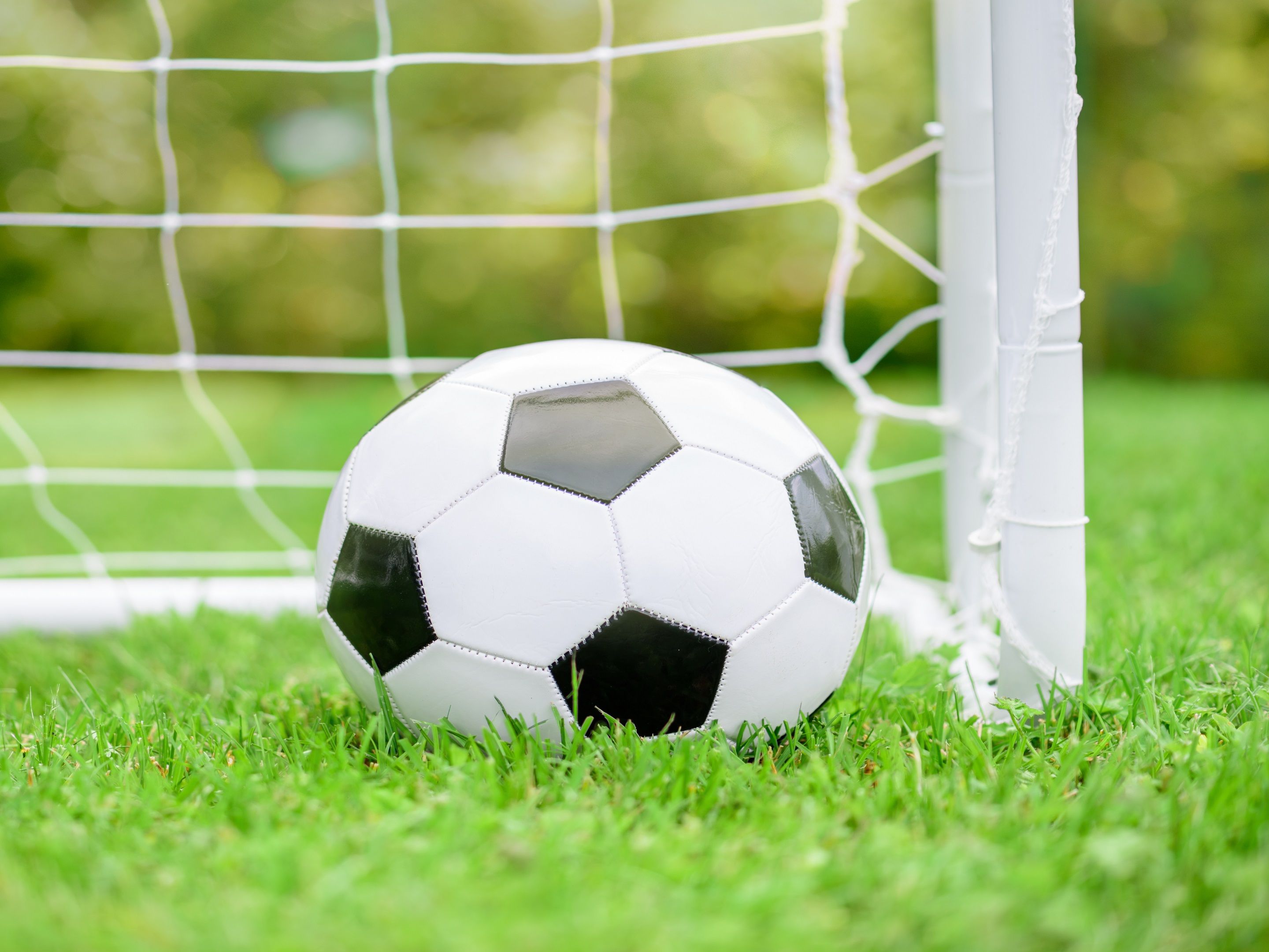soccer ball