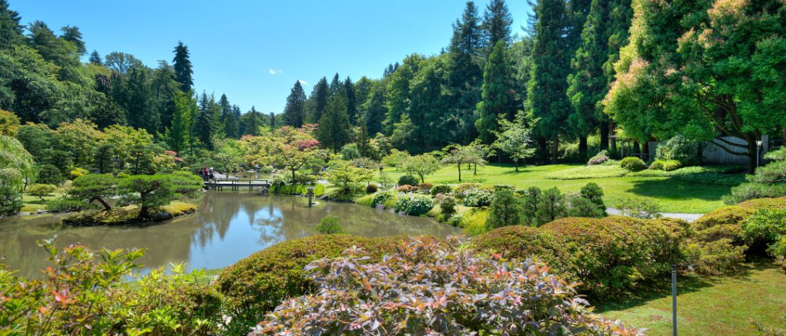 Meydenbauer Bay Park