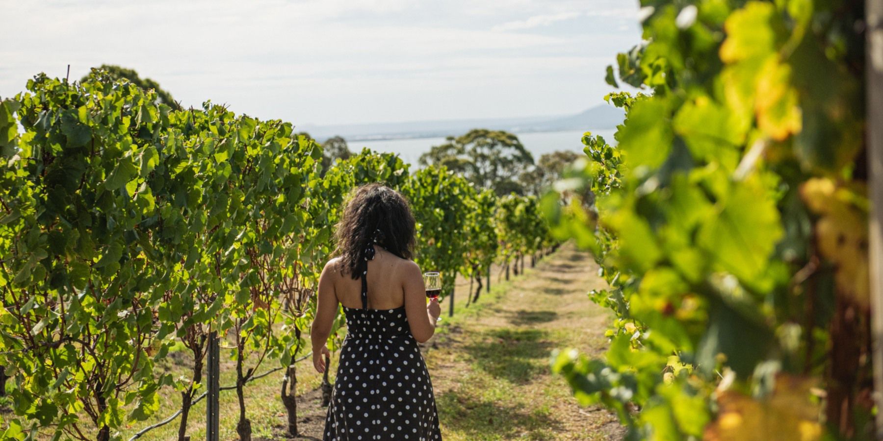wineries