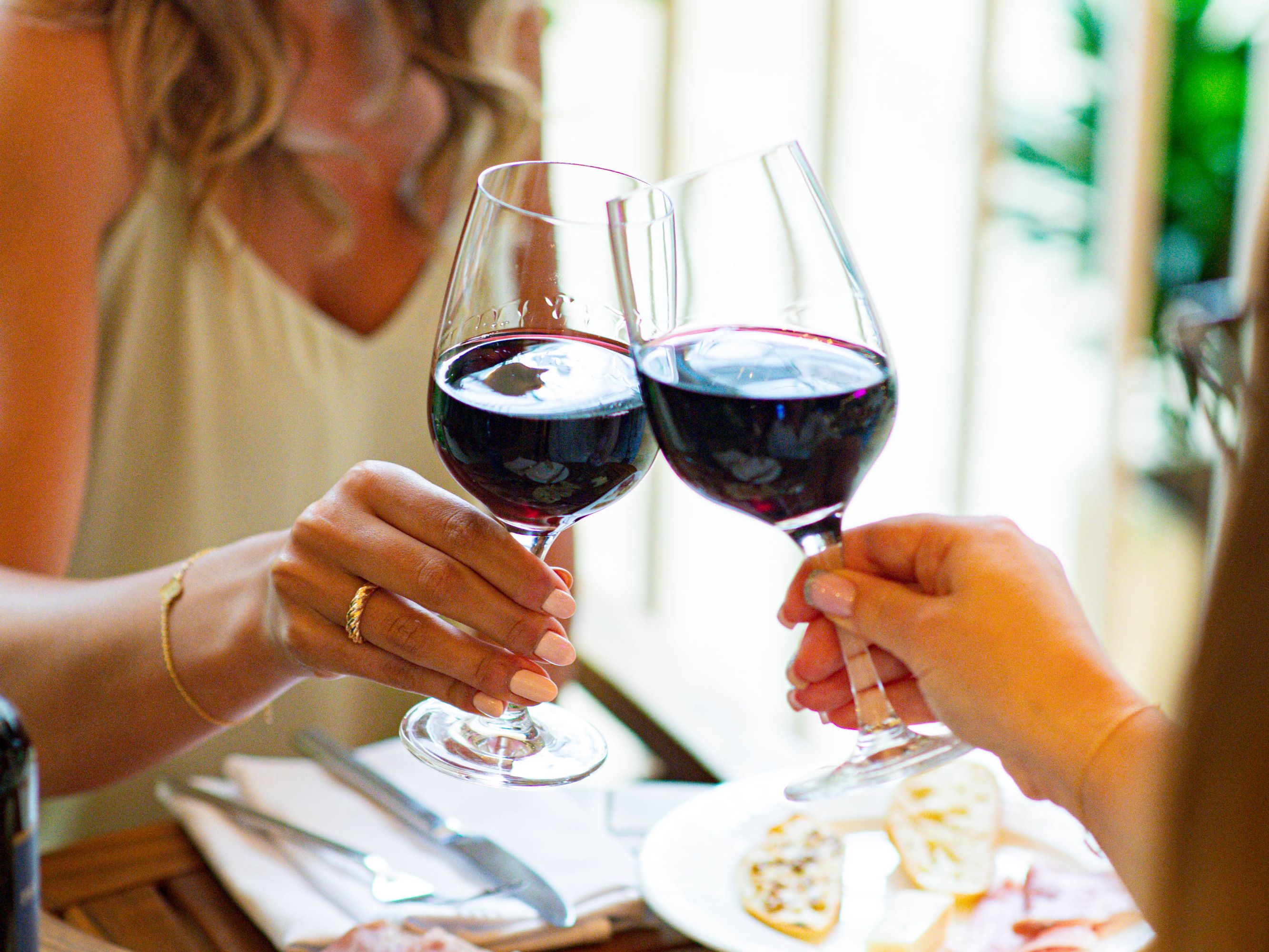 Friends toasting with wine.