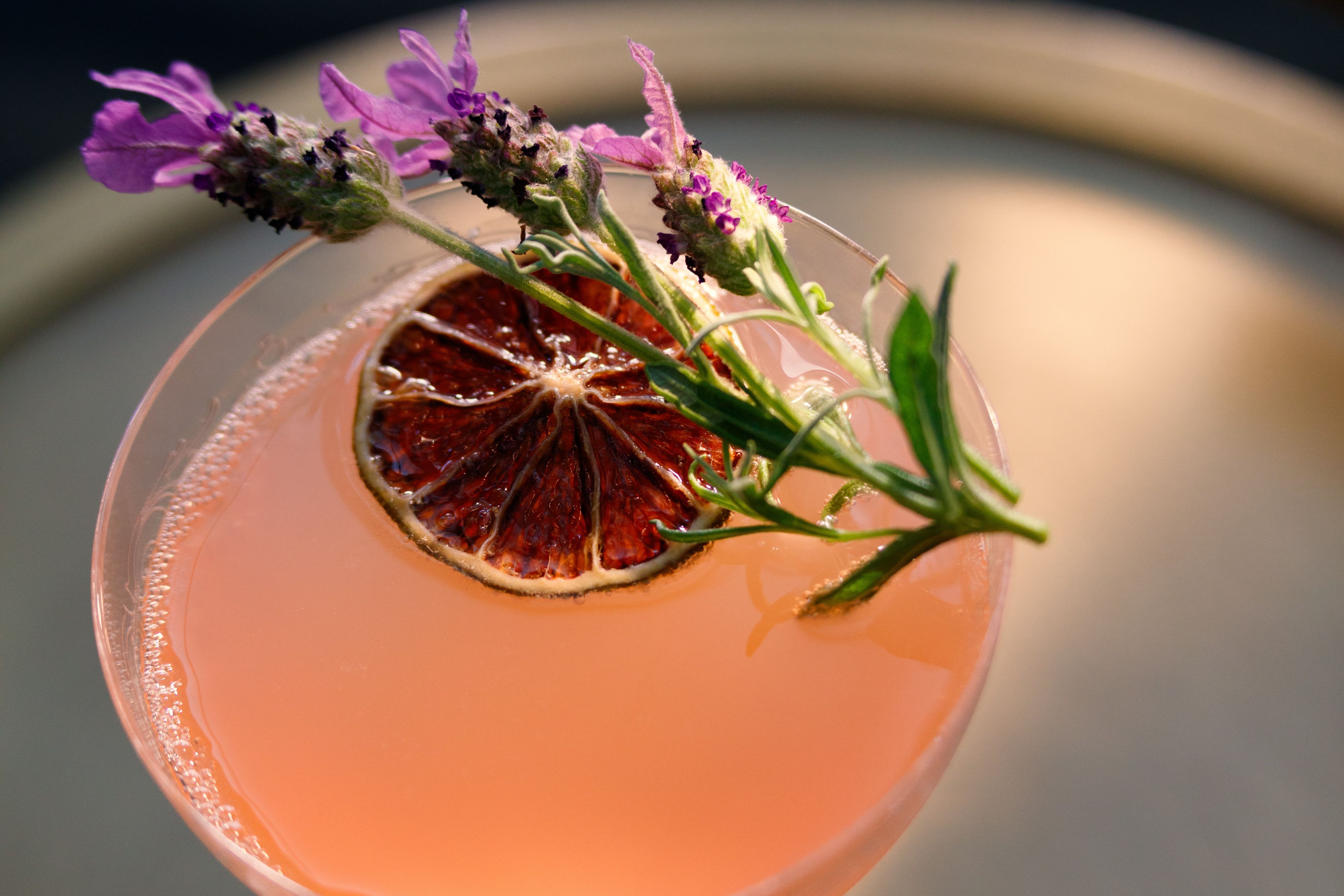 Pink cocktail with dried citrus slice and lavender garnish