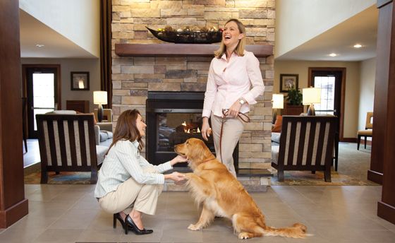 holiday inn dog friendly hotels