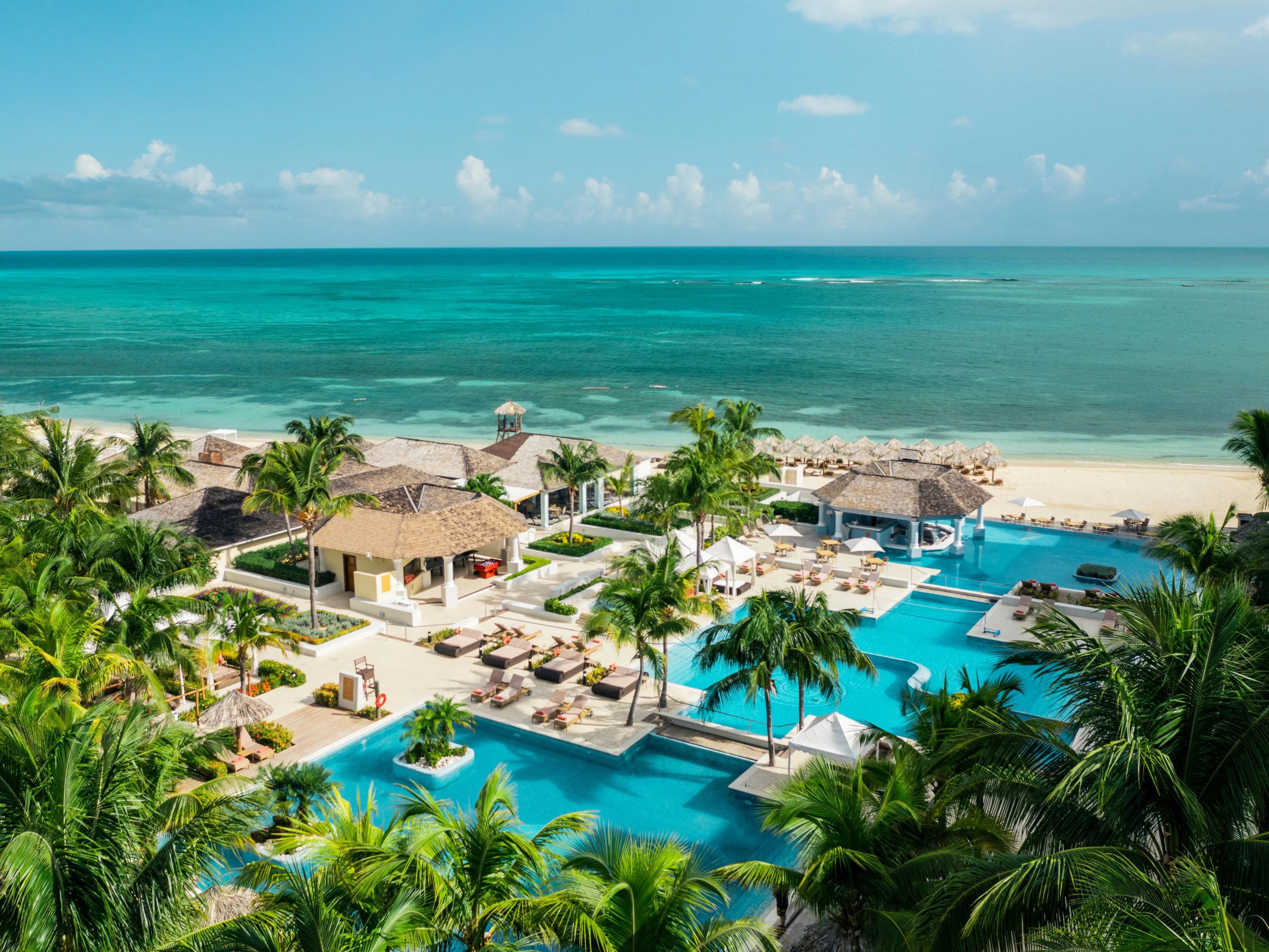 Tree top view on Jamaica's turquiose water