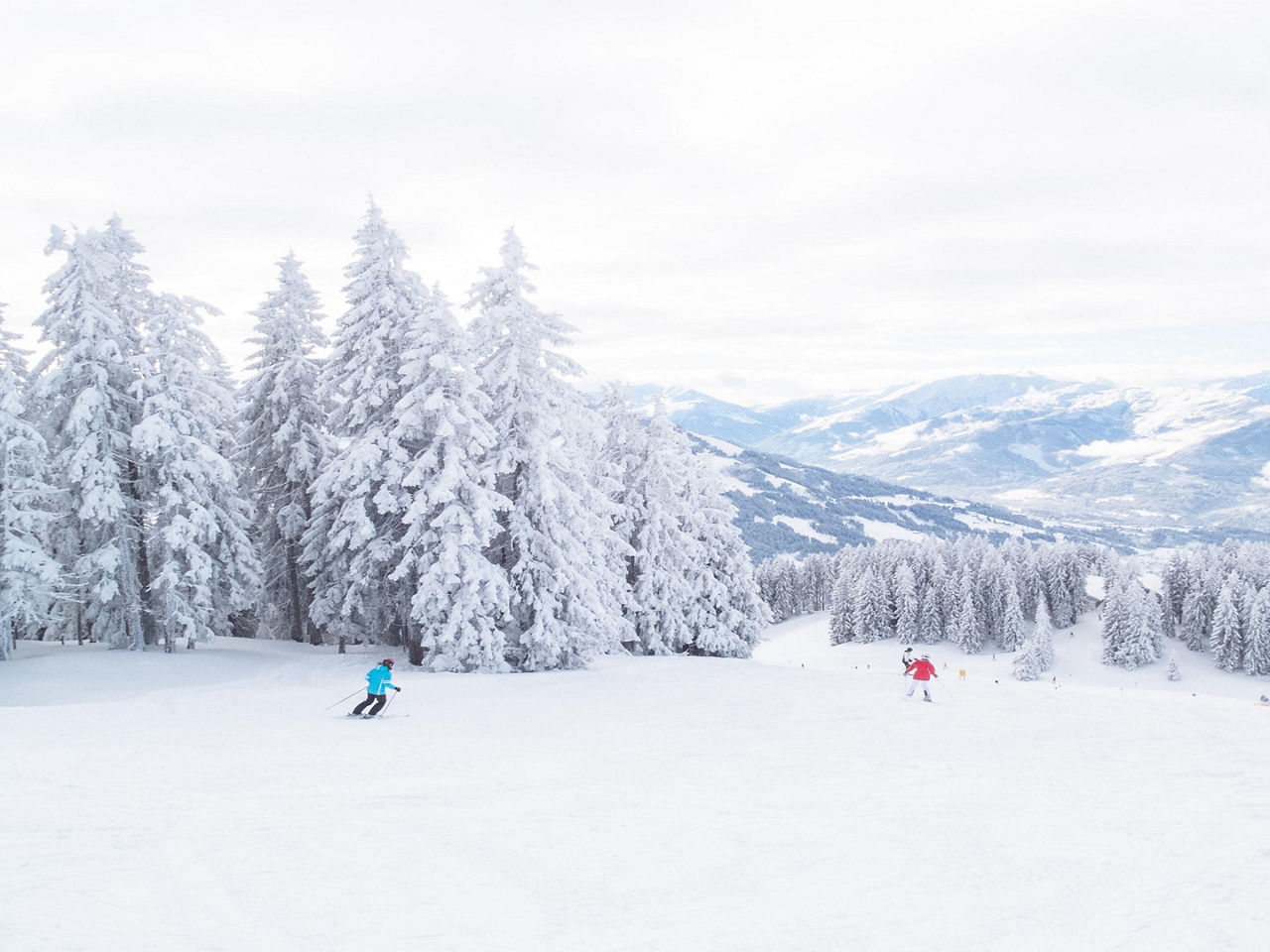 Skier on the slopes